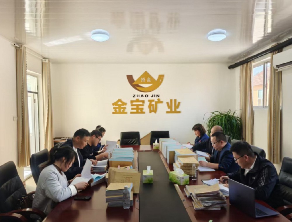 强化基础管理 筑牢财务根基—招金有色开展子公司财务专项检查