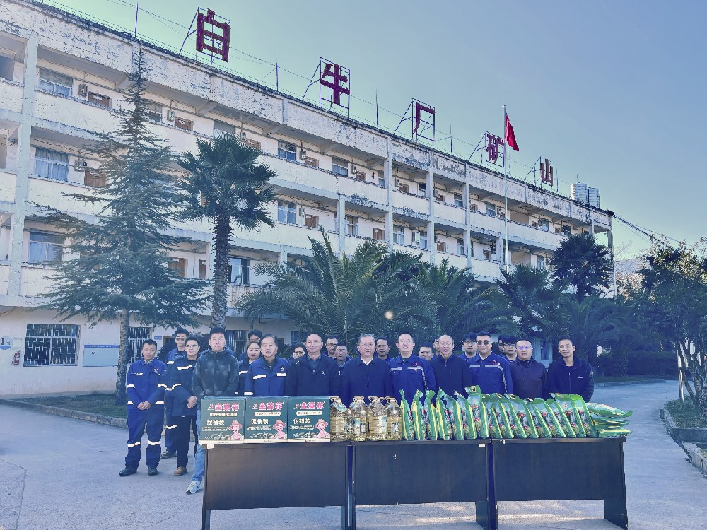 蒙自市领导莅临一智矿业开展节前慰问