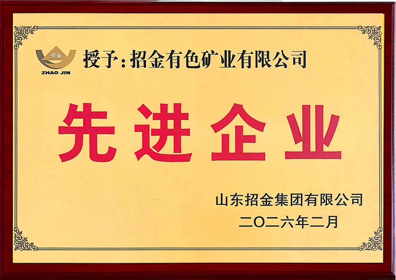 先进企业（招金集团）